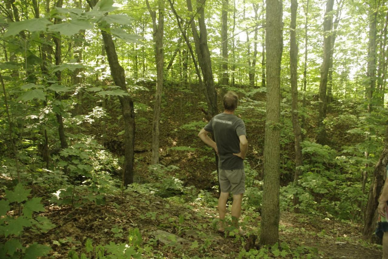Gite Au Pied Des Appalaches Sainte-Sophie-D'Halifax 外观 照片