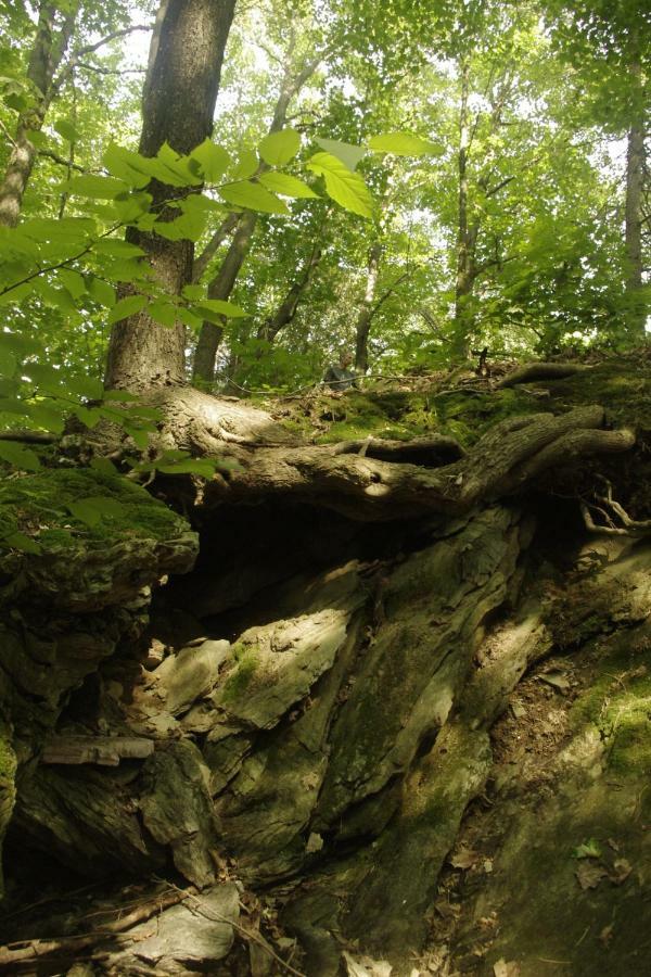 Gite Au Pied Des Appalaches Sainte-Sophie-D'Halifax 外观 照片